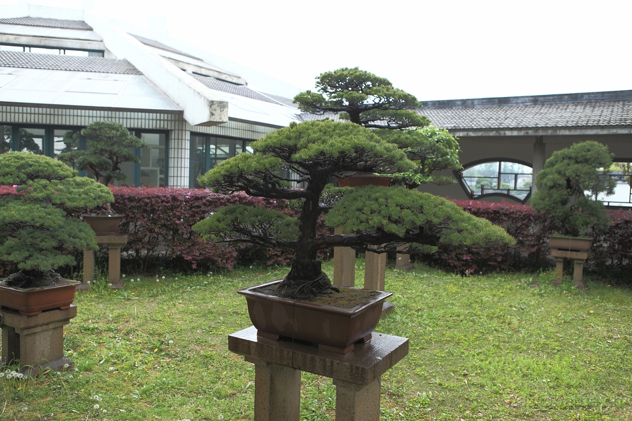 EOS 5D Mark II16_04_20135061.JPG